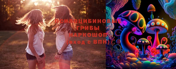 дурь Алексин