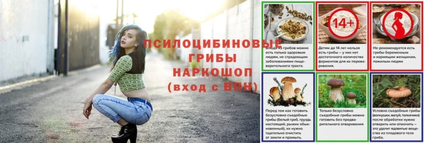 а пвп мука Алзамай