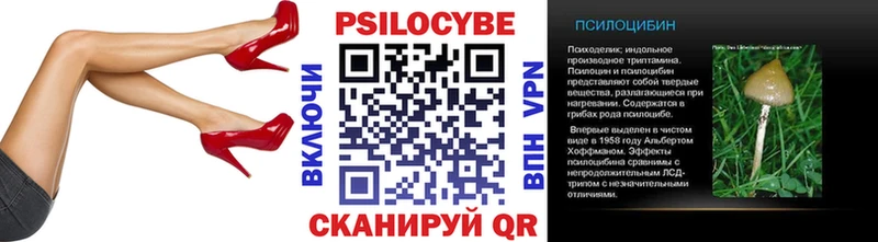 Псилоцибиновые грибы прущие грибы  omg маркетплейс  Кирсанов 